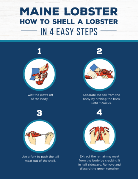 Cooking-Techniques-Breaking-Down-Maine-Lobster-464x601-02c4c81.png