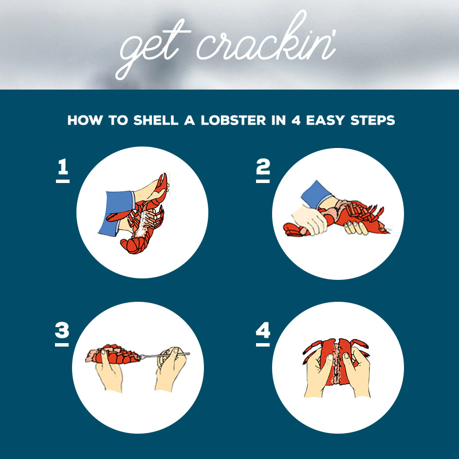 Cooking-Techniques_Breaking-Down-Maine-Lobster-943x943-7d19304.png