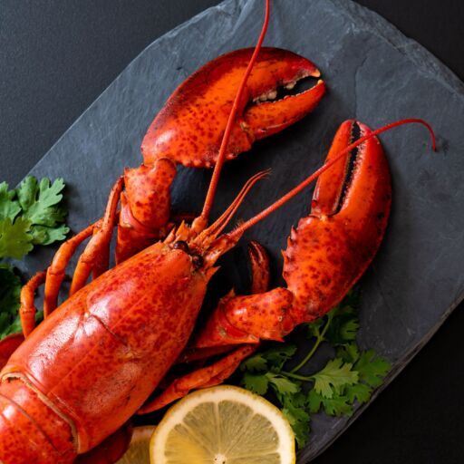 cropped-vecteezy_red-lobster-with-vegetable-and-lemon-on-black-slate-plate_2945969-2500x1668-1-512x512.jpg