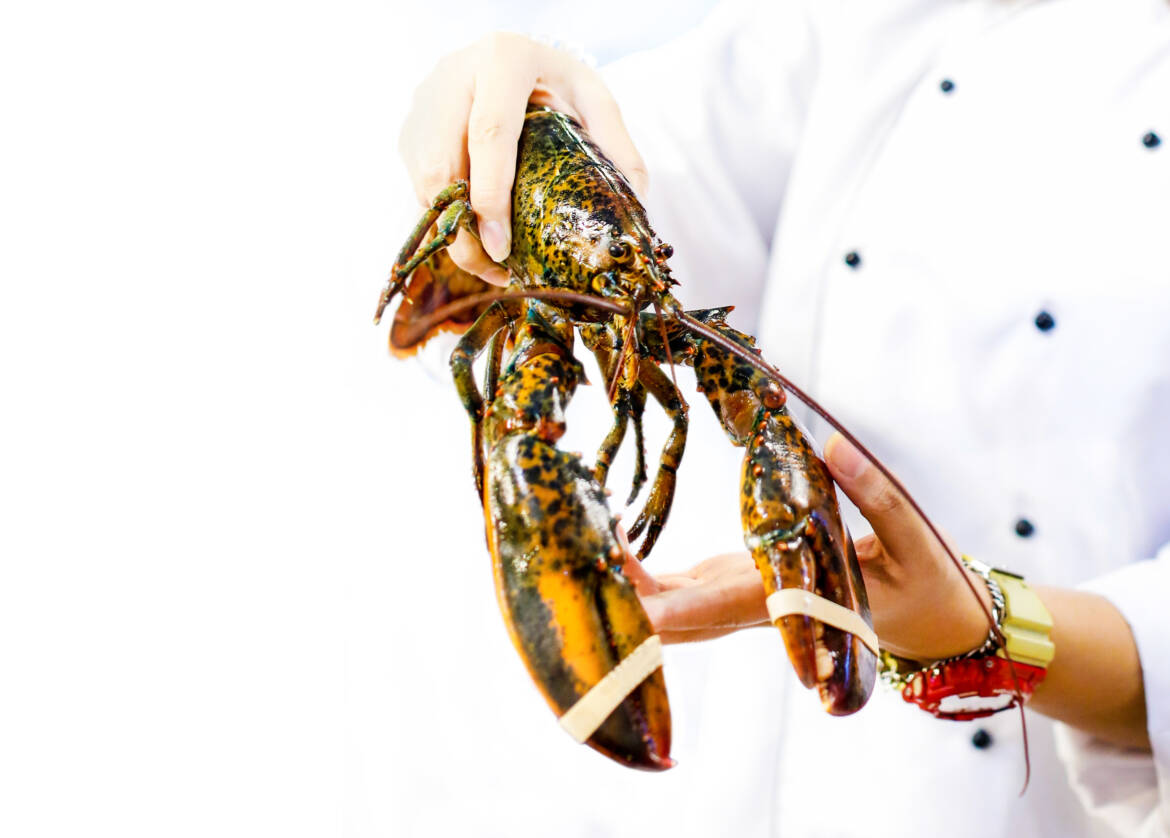 vecteezy_fresh-lobster-at-the-seafood-market_3400416-2500x1791.jpg