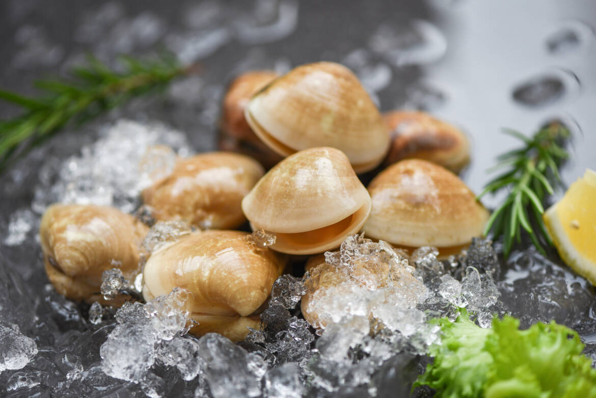 vecteezy_fresh-shell-clam-with-herb-ingredients-for-salad-seafood_4528625-2500x1669.jpg