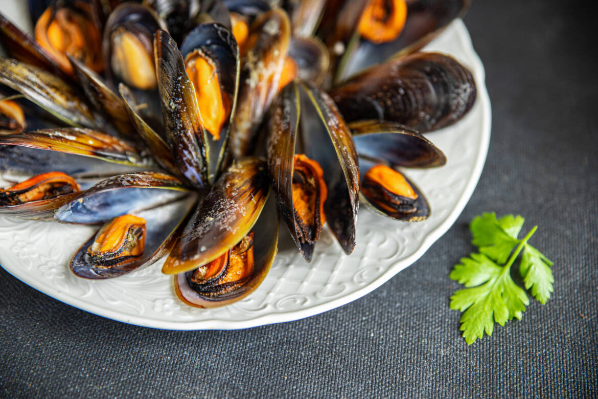 vecteezy_mussels-in-shells-fresh-seafood-meal-on-the-table-copy-space_8559892_856-2500x1667.jpg