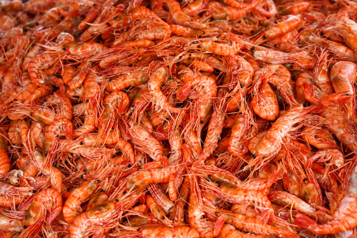 vecteezy_pile-of-cooked-prawns_2288216-2500x1667.jpg