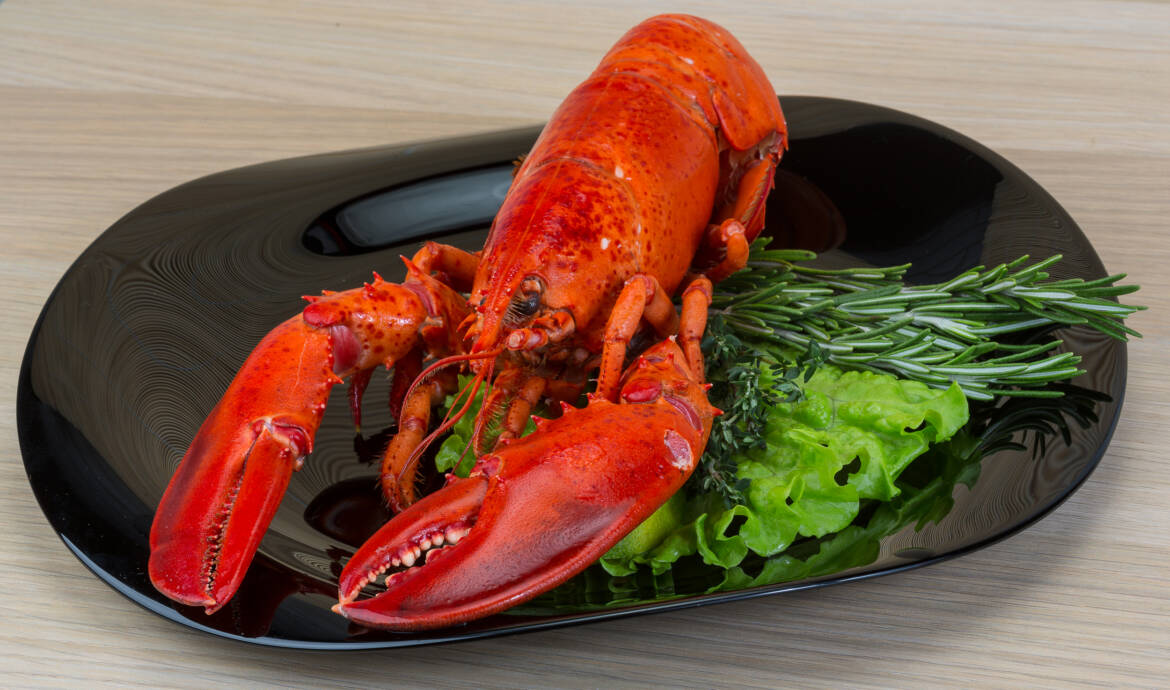 vecteezy_red-boiled-lobster_8893961_910-2500x1475.jpg