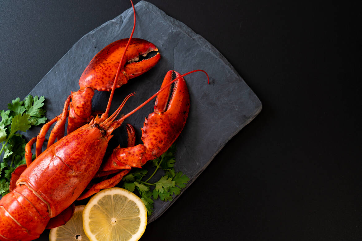 vecteezy_red-lobster-with-vegetable-and-lemon-on-black-slate-plate_2945969-2500x1668.jpg