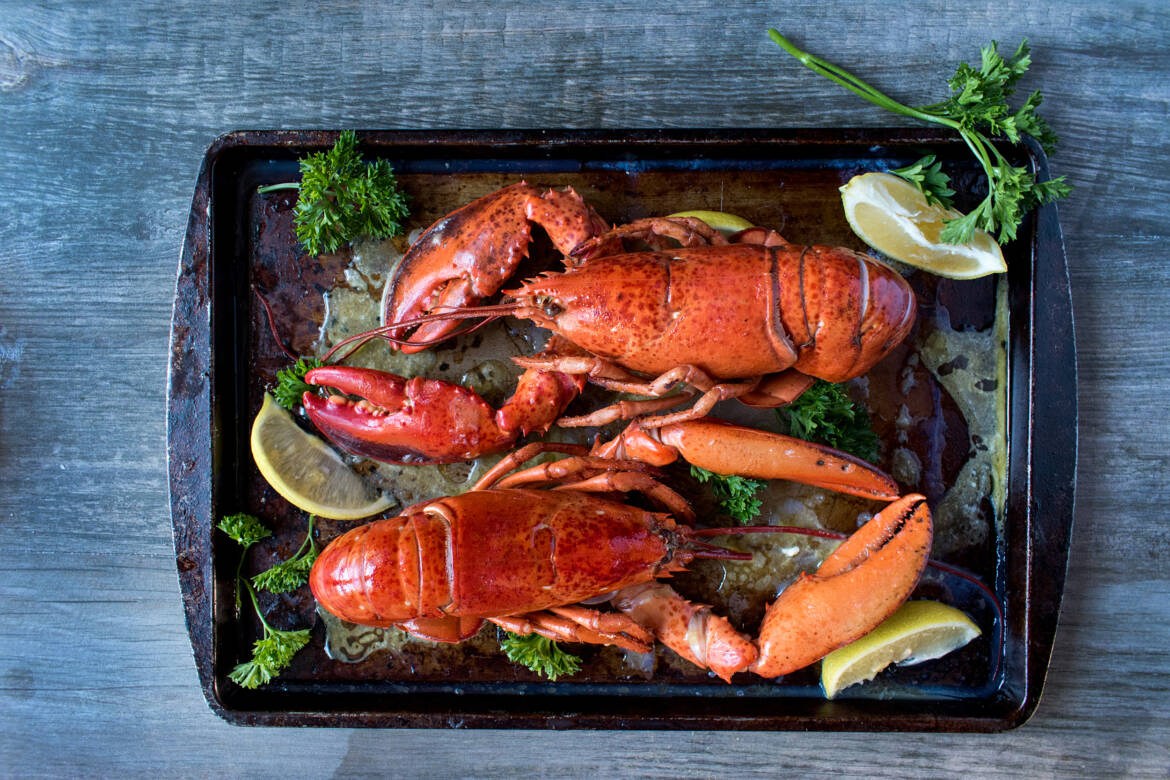 vecteezy_red-lobsters-with-lemon-and-herbs-on-baking-sheet-flat-lay_9277404_901-1-2500x1667.jpg
